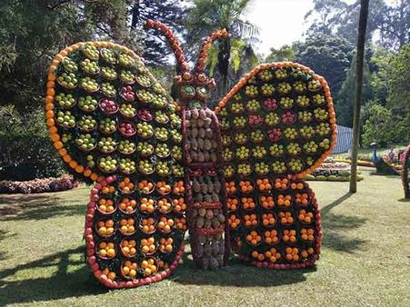 குன்னூரில் களை கட்டிய பழக்கண்காட்சி.. ஆயிரக்கணக்கான சுற்றுலாப் பயணிகள் கண்டு ரசிப்பு