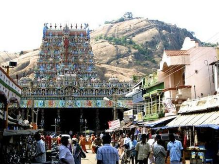 வைகாசி விசாகம் : திருப்பரங்குன்றத்தில் பால்குடம் - பழனியில் தேரோட்டம்