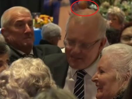 பிரச்சாரம் செய்த பிரதமர் மீது முட்டை வீச்சு.. ஆஸ்திரேலியாவில் பெண் கைது!