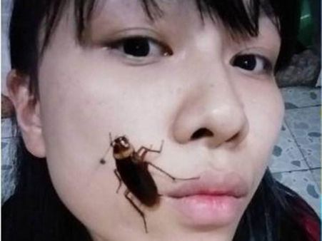 கரப்பான்பூச்சியோட செல்பியா... ரூம் போட்டு யோசிப்பாங்களோ!