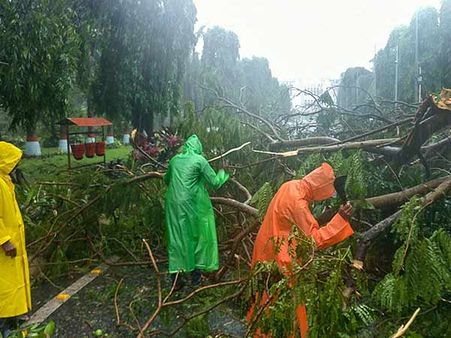 ஃபனி புயலால் சிதைந்த மாநிலங்கள்.. நீட் தேர்வை ஒத்திவைக்க மாணவர்கள் கோரிக்கை