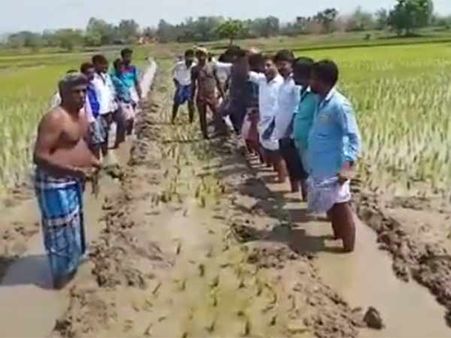 விளை நிலங்களில் பதிக்கப்படும் எரிவாயு குழாய்கள்.. நெல் பயிர்கள் நாசம்.. கொந்தளிப்பில் நாகை மாவட்டம்