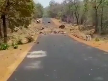 16 பேரை பலிவாங்கிய கட்சிரோலி குண்டுவெடிப்பு.. நக்சல் நடத்திய கொடூர தாக்குதல்.. திக் வீடியோ!