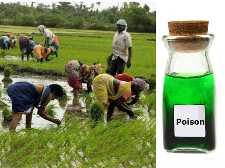 இதற்கு மேல் ஒன்றுமில்லை... விஷ பாட்டில்களுடன் போராட்டம்... நாகை விவசாயிகள் கண்ணீர்