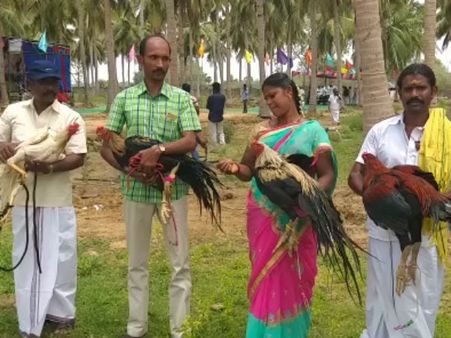 அழிந்து வரும் கிளி மூக்கு, விசிறி வால் சேவல்.. மீட்டெடுக்க தஞ்சையில் ஒரு விழிப்புணர்வு கண்காட்சி!