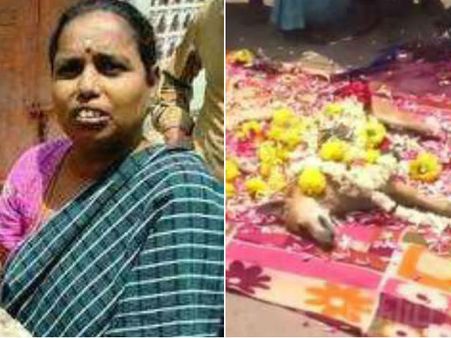 அநியாயமா செத்துப் போய்ட்டீங்களே.. விஷம் வைத்துக் கொல்லப்பட்ட பூனைகளுக்கு கண்ணீர் அஞ்சலி!