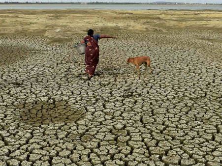 தமிழகத்தை வறுத்தெடுக்கும் வெயில்.. பத்தாயிரத்திற்கும் மேற்பட்ட ஏரிகள் முற்றிலும் வறண்டதால் அதிர்ச்சி