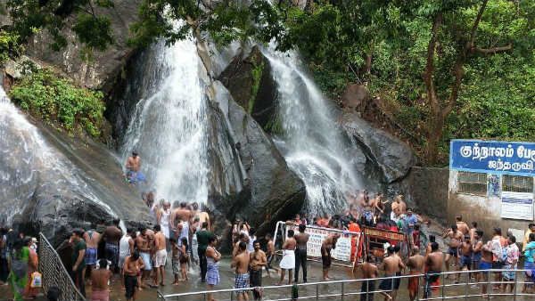செம்ம ஜாலி.. குளுகுளு காற்று.. மெல்லிய சாரல்.. ஆர்பரித்து விழும் அருவிகள்.. மயக்கும் குற்றாலம்
