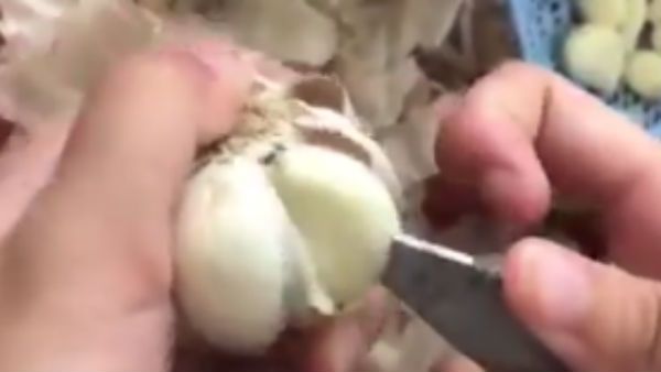 இன்னைக்கு ஞாயிறு.. நிச்சயம் பிரியாணி செய்வீங்க.. உங்களுக்கு இந்த வீடியோ உபயோகமா இருக்கும்!