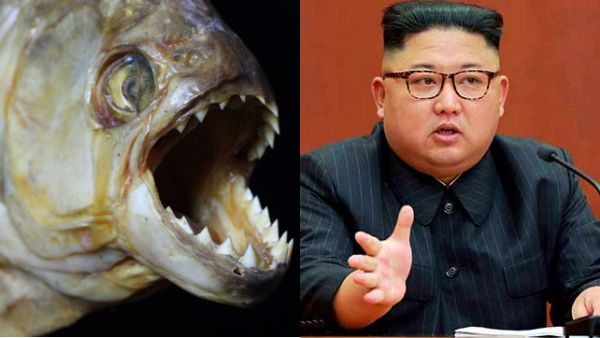 ராணுவ தளபதியை வெட்டிக் கொன்று.. பிரான்ஹா மீன்களுக்கு இரையாக்கிய கிம் ஜாங் உன்