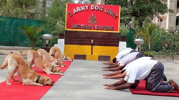 சர்வதேச யோகா தினத்தில் ராகுல் வெளியிட்ட ட்வீட்டால் கடும் சர்ச்சை