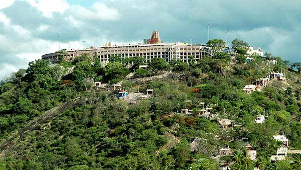 வருடாந்திர பராமரிப்பு பணி எதிரொலி.. பழனி கோயிலில் 45 நாட்களுக்கு ரோப்கார் சேவை நிறுத்தம்