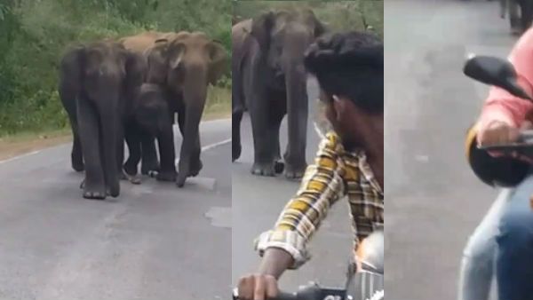 Viral Video: ஜஸ்ட் மிஸ்.. அதுங்க பாட்டுக்குத்தானே நின்னுச்சு.. மயிரிழையில் உயிர் தப்பிய இளைஞர்கள்!