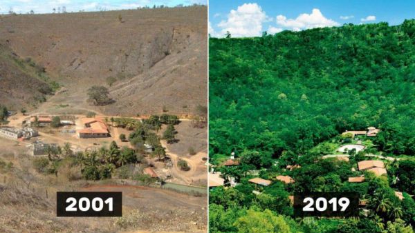 18 ஆண்டுகளில் 40 லட்சம் மரங்கள்.. வறண்ட நிலத்தை பசுமை வனமாக மாற்றிய பிரேசில் தம்பதி