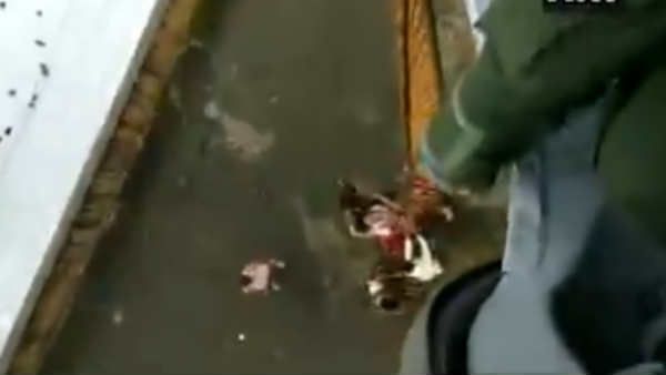 மும்பை அருகே.. வெள்ளத்தில் தவித்த மக்களை ஹெலிகாப்டரில் சென்று காப்பாற்றிய ராணுவம்.. மாஸ் வீடியோ