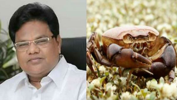 அணை உடைப்புக்கு நண்டுகள்தான் காரணம்.. அமைச்சர் பேச்சு.. நண்டுகளை கைது செய்ய கோரும் எதிர்க்கட்சிகள்!