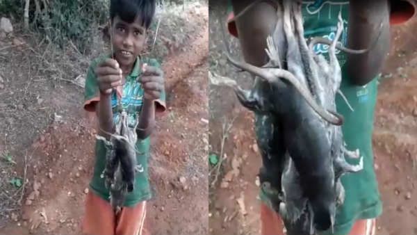 எலிகளை புடிச்சி வறுத்து சாப்பிடுவோம் சார்.. அதிர வைக்கும் சிறுவர்கள்.. குவாரி தொழிலாளர்களின் அவலம்