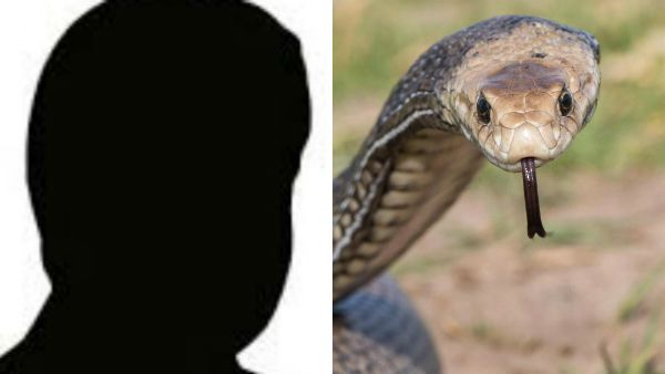 நீ கடிச்சா எனக்கு கடிக்க தெரியாதா?.. பாம்புடன் மோதிய காலா.. நடந்தது என்ன தெரியுமா?