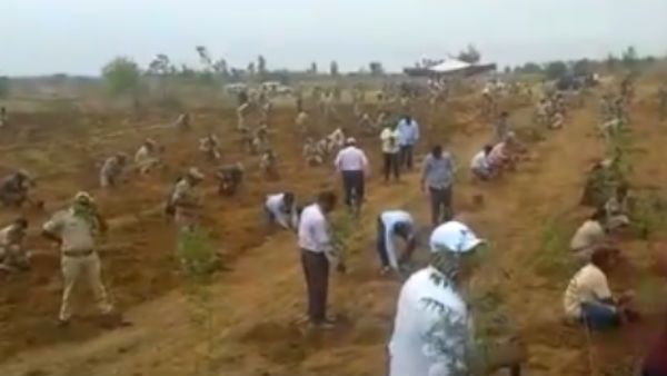 அனிதாவை கொடூரமாக தாக்கிய அதே இடத்தில் மரம் நட்டு அதிரடி பதிலடி கொடுத்த வனத்துறை!