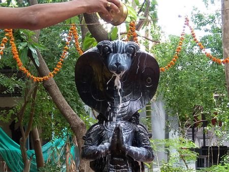 நாக பஞ்சமி கருட பஞ்சமி - திருமணத்தடை, புத்திரபாக்கிய தடை நீக்கும் விரதம்