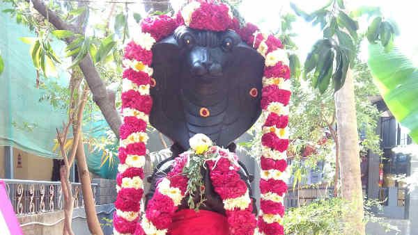 ராகு திசை: அள்ளிக் கொடுக்கிற ராகு கூரையை பிய்த்துக் கொண்டு கொடுப்பார்