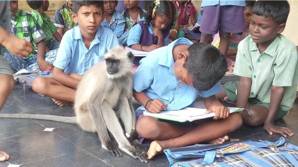 100 சதவீத அட்டென்டன்ஸ் கொடுத்த 