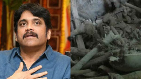 நாகார்ஜூனாவின் பண்ணை தோட்டத்தில் மனித எலும்புக் கூடு கண்டெடுப்பு.. போலீஸ் விசாரணை
