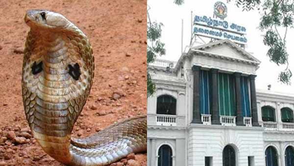 பரபரத்த தலைமை செயலகம்.. நுழைவாயிலில் படமெடுத்த நல்ல பாம்பு.. அலறி அடித்து ஓடிய ஊழியர்கள்!