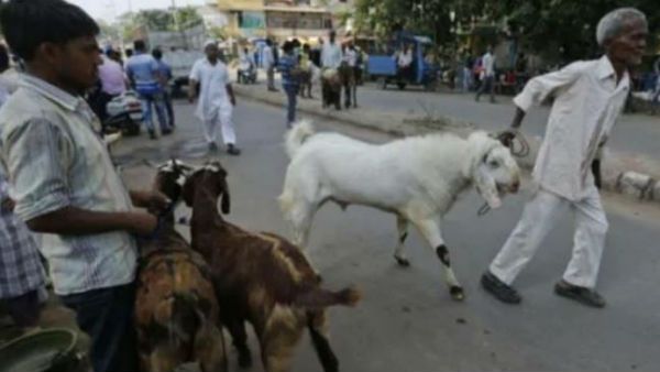 ஆடு, கோழி பலியிட தடையா? இந்தியாவுடன் இணையும் போது தந்த வாக்குறுதியை மீறுவதா? திரிபுரா கொந்தளிப்பு