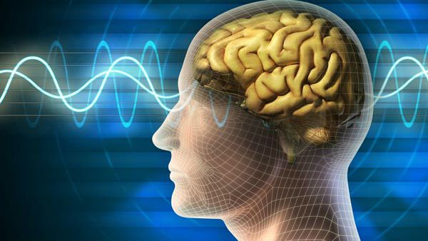 தம்ப்ரி.. மூளை உங்களுக்காக வேலை செய்யுது.. நீங்க மூளைக்காக வேலை செய்றீங்களா?!