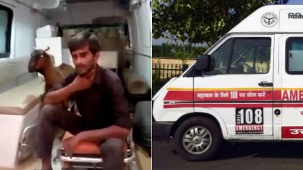 ஹலோ 108 ஆ... சீக்கிரம் வாங்க... உ.பி.யில் ஆட்டை ஆம்புலன்ஸில் ஏற்றிய இளைஞர்