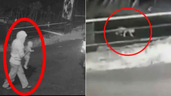 நடு காட்டில்.. நள்ளிரவில்.. தவழ்ந்து போவது யாரு.. அலறி அடித்து ஓடிய கனகராஜ்.. வைரலாகும் வீடியோ