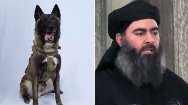 துரத்திய மோப்ப நாய்.. குகையில் கதறல்.. ஐஎஸ்ஐஎஸ் தீவிரவாத இயக்க தலைவன் பாக்தாதியின் இறுதி நிமிடங்கள்
