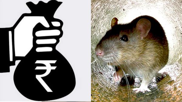 ஒரு எலியை பிடிக்க 22 ஆயிரம் ரூபாய்.. எஸ்ஜே சூர்யா போல் சிக்கலில் தவிக்கும் தெற்கு ரயில்வே