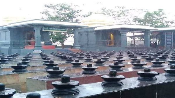 காந்தி ஜெயந்தி நாளில் தன்வந்திரி பீடத்தில் மனித நேய மஹா ஹோமம்