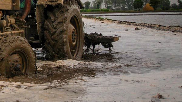 திருச்சியில் கனமழையில் டிராக்டரில் வயலை உழுத போது சோகம்.. விவசாயி இடி மின்னல் தாக்கி சாவு