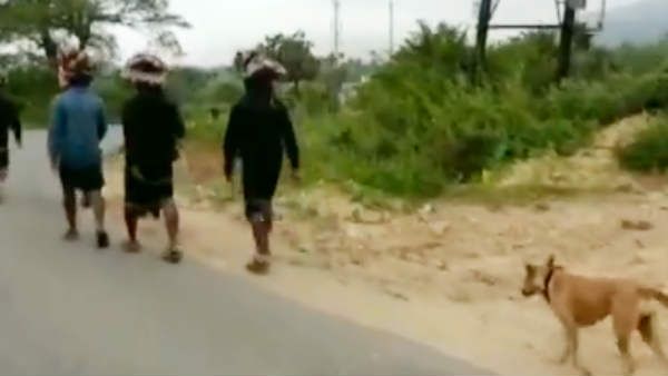 சபரிமலைக்கு ஐயப்ப பக்தர்களுடன் பாத யாத்திரையாக வரும் நாய்.. 500 கி.மீ. கடந்தும் வருது.. வீடியோ!