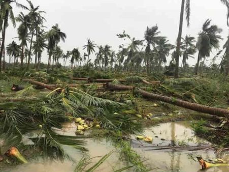 கோரத்தாண்டவம் ஆடிய கஜா புயல்... ஓராண்டு நினைவலைகள்