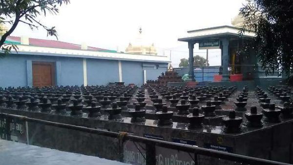 ஆனந்தம் தரும் ஐப்பசி அன்னாபிஷேகம் - சிவனோடு ராகு கேது தரிசனமும் பார்க்கலாம்