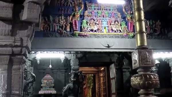 ஆருத்ரா தரிசனம் : திருநெல்வேலி நெல்லையப்பர் கோவிலில் ஜன.1ல் கொடியேற்றம் 