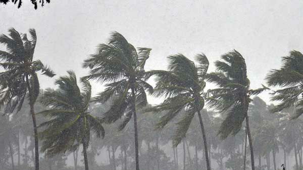 பருவமழை எப்படி இருக்கும் - 2019ஆம் ஆண்டில் பஞ்சாங்கம் கணித்ததும் பலித்ததும்