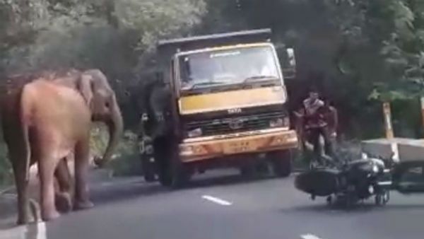 டூவீலரை கீழே தள்ளிவிட்ட காட்டு யானை.. தெறித்து ஓடிய இளைஞர்கள்.. உயிரை காப்பாற்றிய லாரி ஓட்டுநர்!