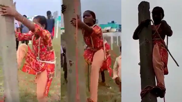 மின்னல் வேகம்.. விறுவிறுவென மேலே ஏறி.. ஆண்களே செய்ய தயங்கும் வேலை.. அசால்ட் காட்டிய ஜோதி!