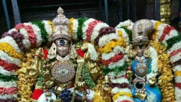 மார்கழி தேய்பிறை அஷ்டமி: உயிர்களுக்கு உணவளிக்கும் மதுரை மீனாட்சி சுந்தரேஸ்வரர்