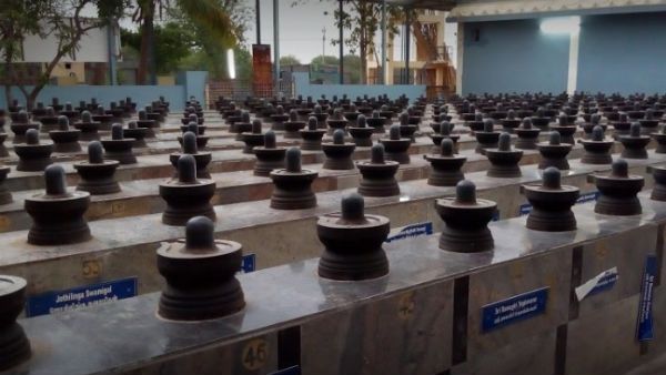 2020 புத்தாண்டு : தன்வந்திரி பீடத்தில் ஆரோக்கியத்துடன் ஐஸ்வர்யம் தரும் ஐந்து ஹோமங்கள்