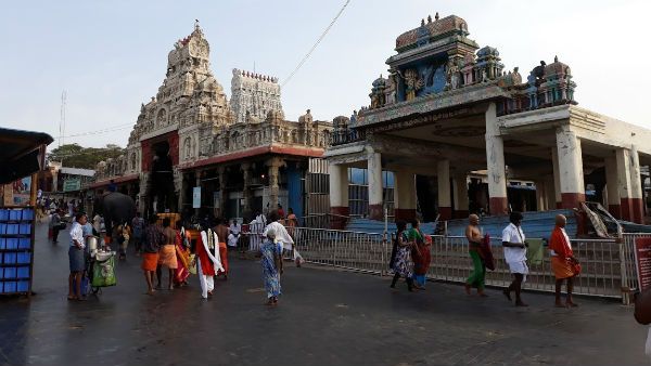 மார்கழி 2019: திருச்செந்தூர்,காளஹஸ்தி கோவில்களில் அதிகாலை 3.30 மணி முதல் பூஜை ஆரம்பம்