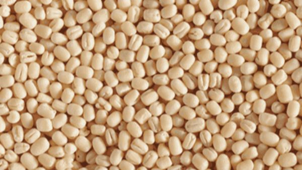 பருப்பு இறக்குமதிக்கு மத்திய அரசு அனுமதி.. உளுந்து விலை எப்போது குறையும்!