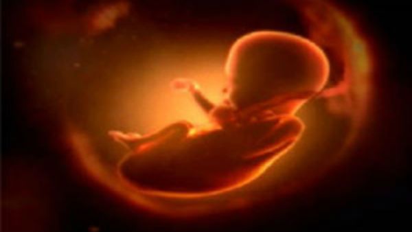 கருக்கலைப்பு சட்டத்தில் அதிரடி மாற்றம்.. பெண்களின் நீண்டகால எதிர்பார்ப்பு நிறைவேறுகிறது