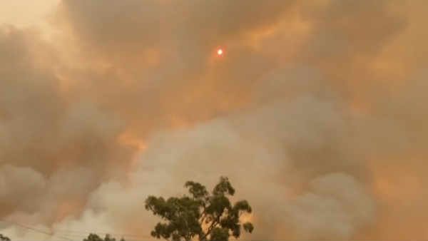 ஆஸ்திரேலியாவில் பரவும் பயங்கர காட்டுத்தீ.. அழிந்த எண்ணற்ற உயிரினங்களும் மூலிகைகளும்!