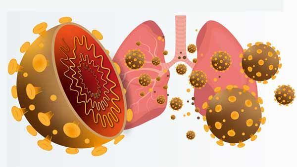 கொரோனாவை தடுக்கும் உணவுகளா.. நம்பாதீங்க.. இதுதான் சிறந்த வழி.. சுகாதாரத்துறை அதிகாரிகள் பதில்